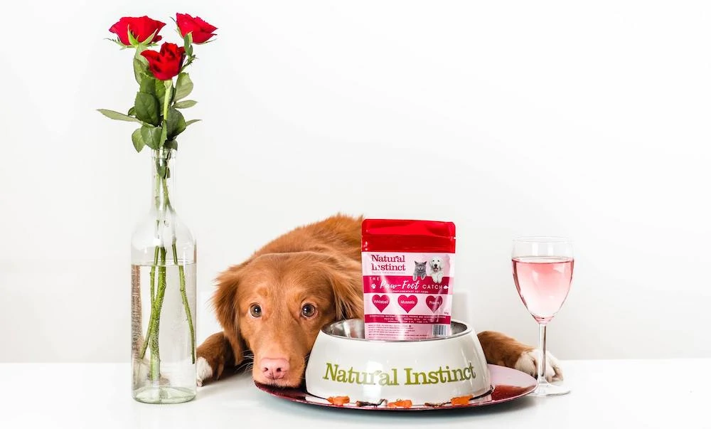 hond bij voerbak met rozen ernaast en een glaasje wijn