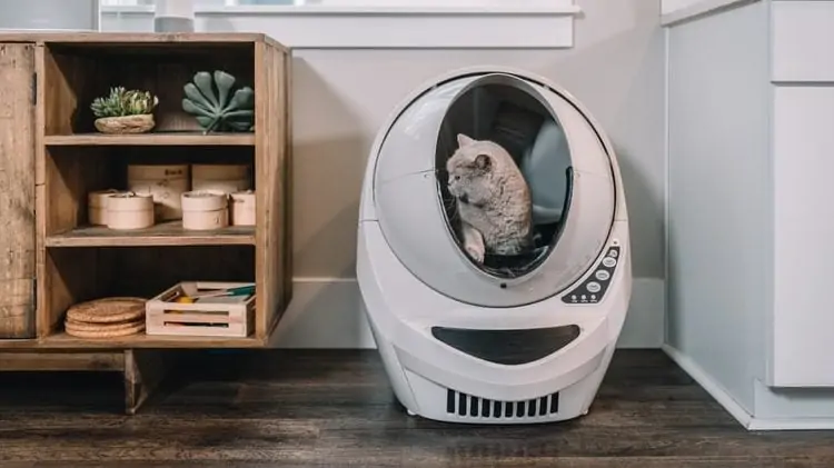 kat in toiletrobot voor katten