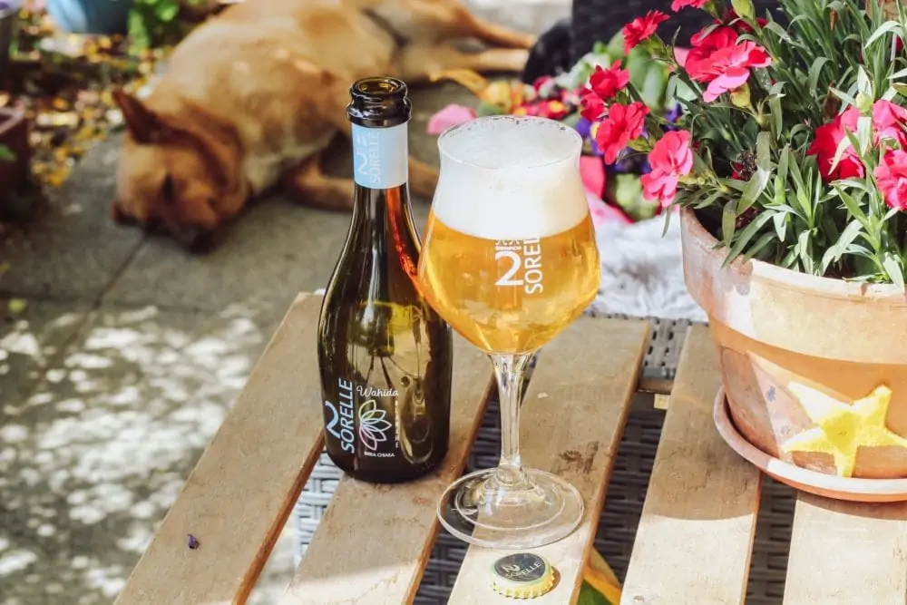 Glas bier in de tuin op tafel, vooraanzicht