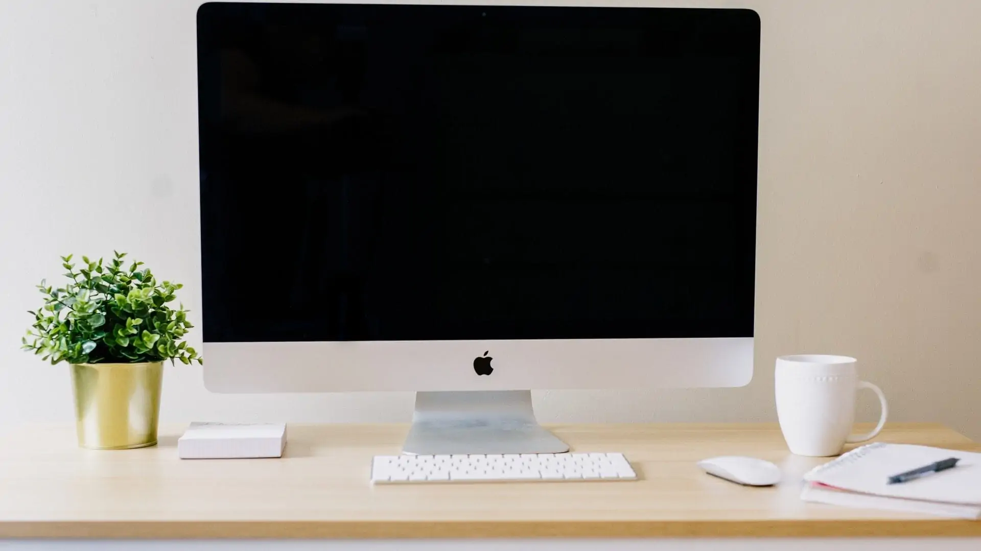 Apple monitor met toetsenbord, plantje, muis, pen en mok. Vooraanzicht.