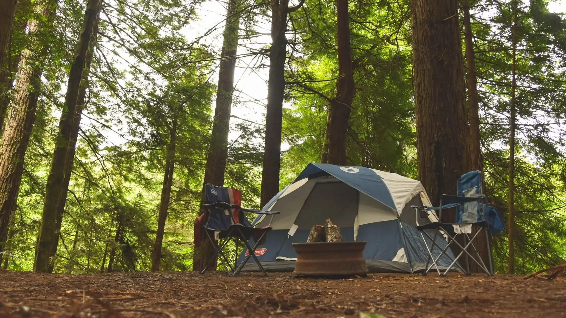 Blauw-bruine tent in het bos met twee stoelen. Vooraanzicht.