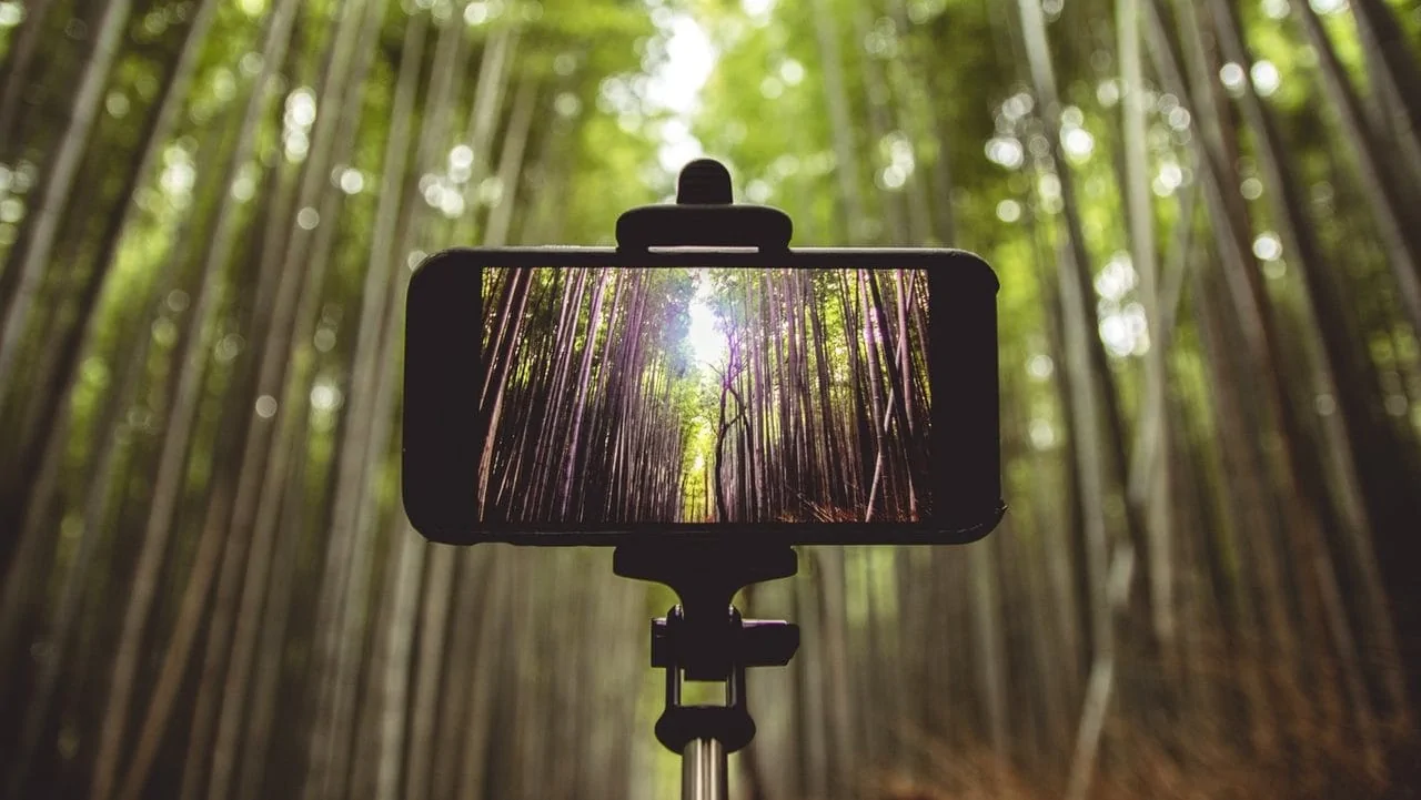 Smartphone in selfiestick met bomen op achtergrond. Vooraanzicht
