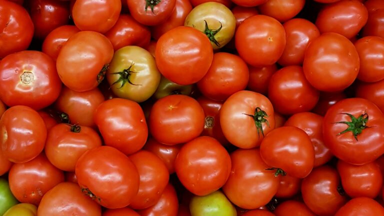 Tomatensausvlek In Kleding: Zo Krijg Je Die Vlek Eruit
